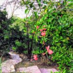 IMG_20170206_205047_372